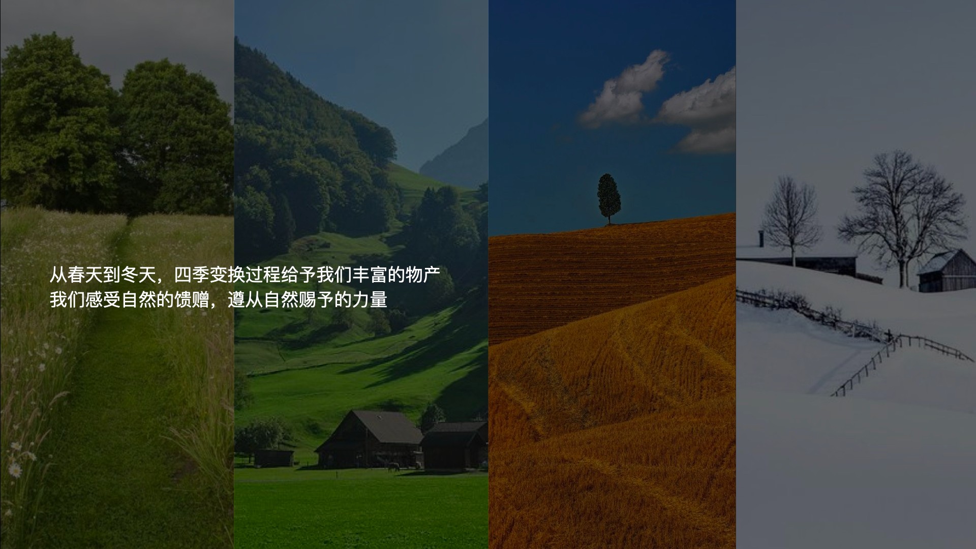 4雜糧項(xiàng)目_視覺概念_12:26.001.jpg